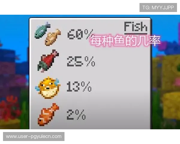 专家解读PG游戏正规网址大全的重要性与选择技巧保障玩家权益